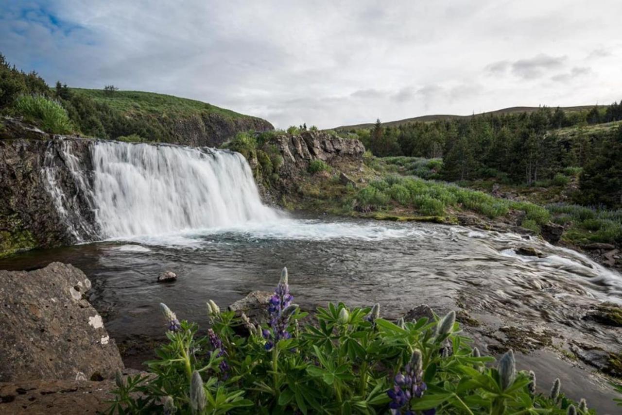 Hvammsvik Nature Resort Kjosahreppur Luaran gambar