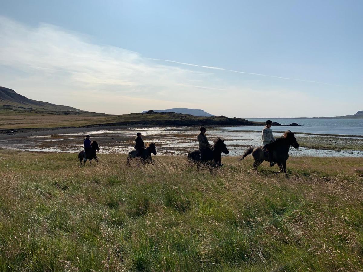 Hvammsvik Nature Resort Kjosahreppur Luaran gambar